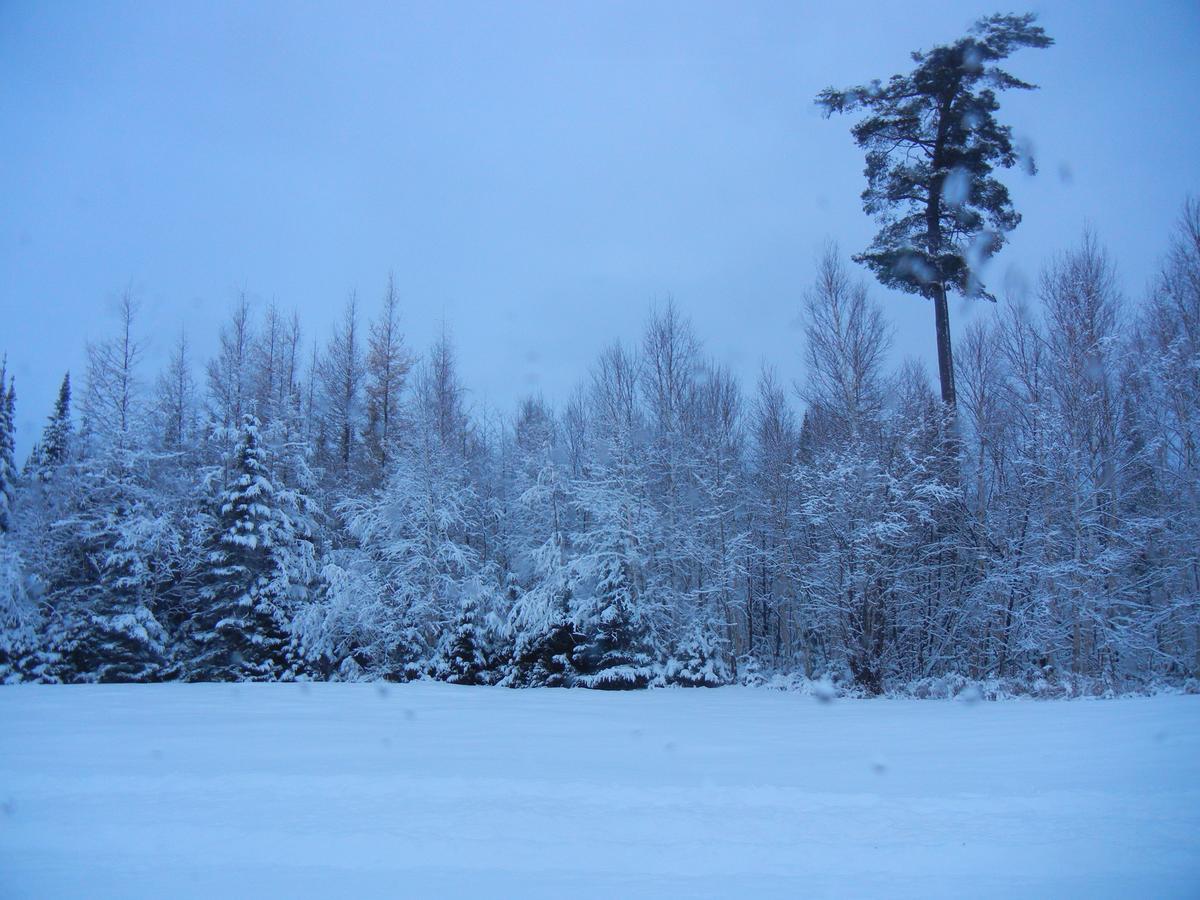 Shores Of Deer Lodge