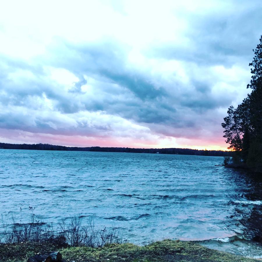 Shores Of Deer