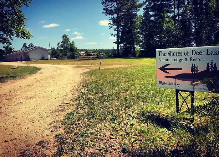 Shores Of Deer Lake